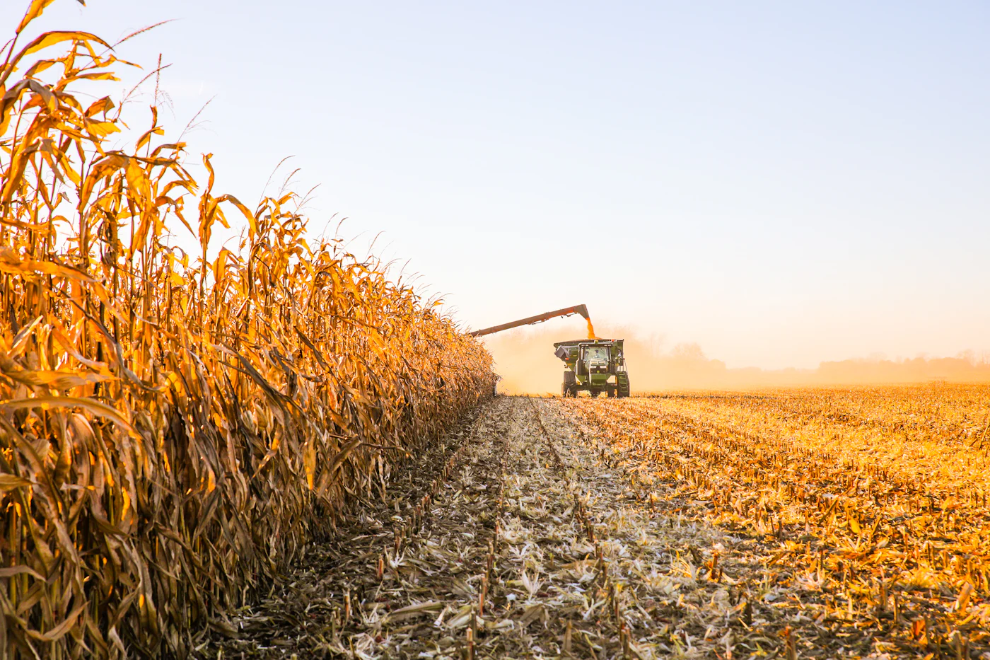 Trattore al lavoro su campo agricolo italiano