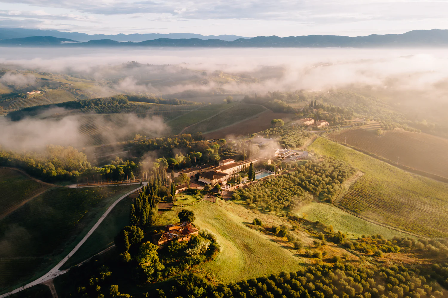 Vigneti del Cilento all'alba — mappa di vigore elaborata da volo drone